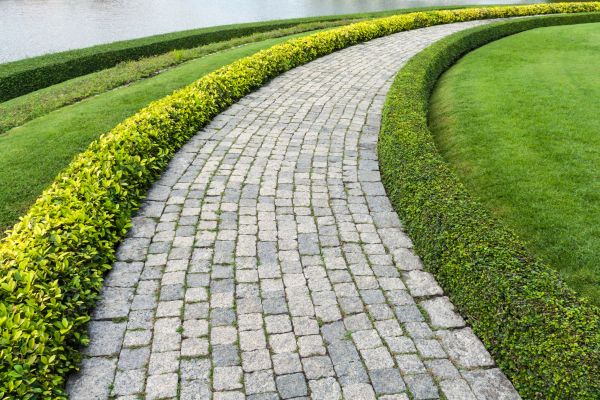 Sidewalk Pavers Installation Service